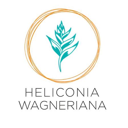 Heliconia Wagneriana Apartment - Flor De La Perla Santa Marta  Extérieur photo